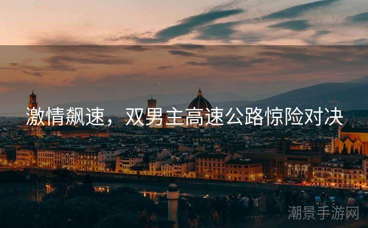 激情飙速，双男主高速公路惊险对决