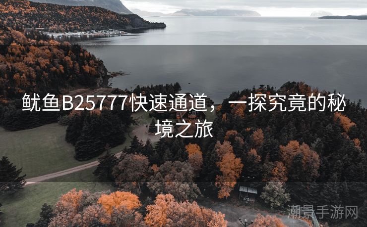鱿鱼B25777快速通道，一探究竟的秘境之旅