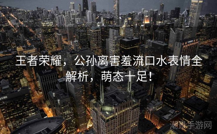王者荣耀，公孙离害羞流口水表情全解析，萌态十足！