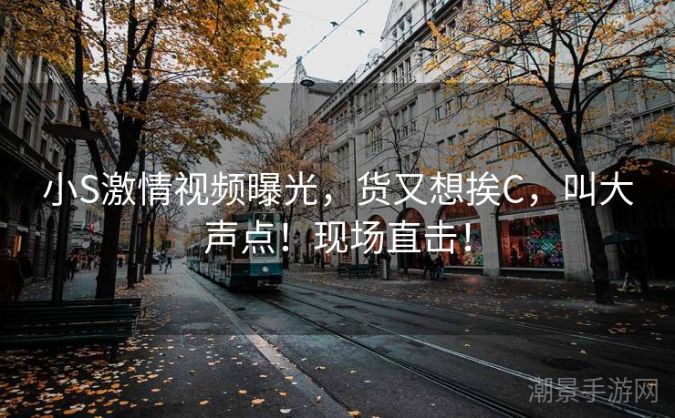 小S激情视频曝光，货又想挨C，叫大声点！现场直击！
