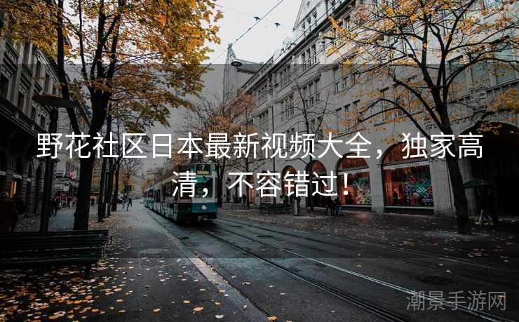 野花社区日本最新视频大全，独家高清，不容错过！