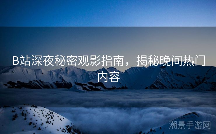 B站深夜秘密观影指南，揭秘晚间热门内容