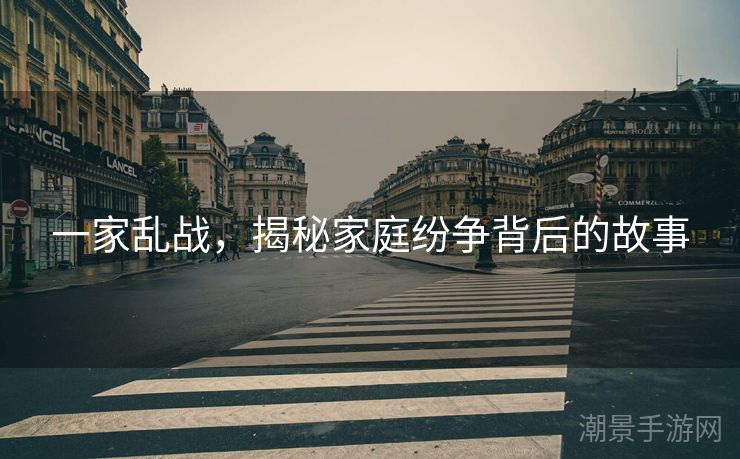 一家乱战，揭秘家庭纷争背后的故事