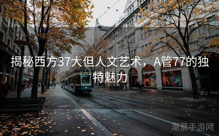 揭秘西方37大但人文艺术，A管77的独特魅力