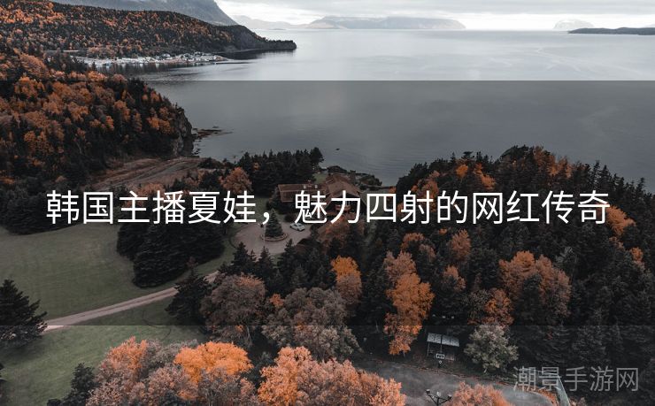 韩国主播夏娃，魅力四射的网红传奇