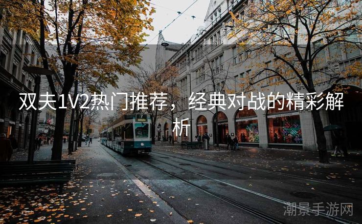 双夫1V2热门推荐，经典对战的精彩解析