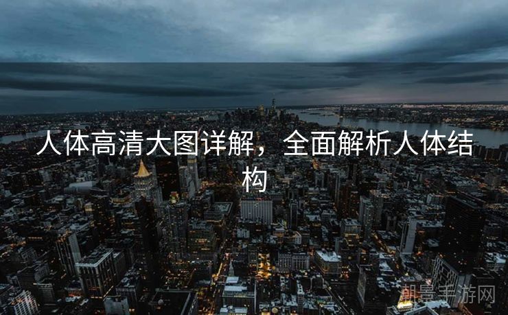 人体高清大图详解，全面解析人体结构