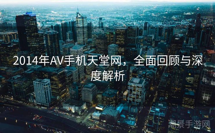 2014年AV手机天堂网，全面回顾与深度解析