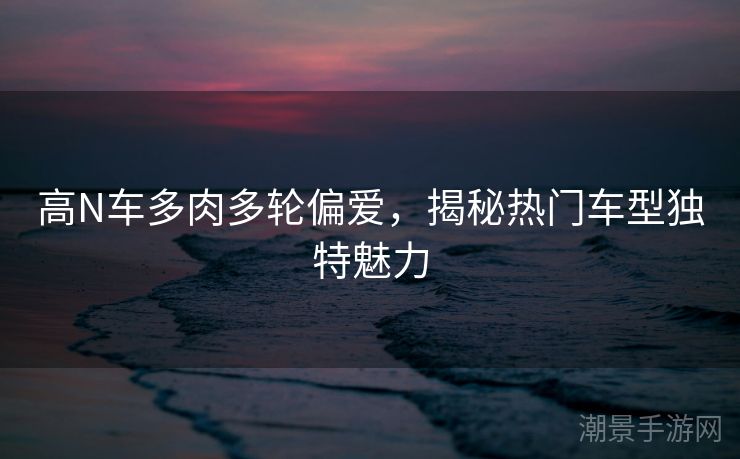 高N车多肉多轮偏爱，揭秘热门车型独特魅力