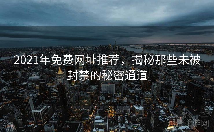 2021年免费网址推荐，揭秘那些未被封禁的秘密通道