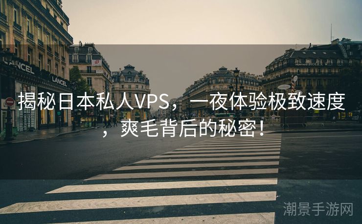揭秘日本私人VPS，一夜体验极致速度，爽毛背后的秘密！