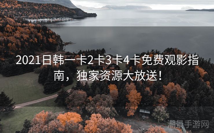 2021日韩一卡2卡3卡4卡免费观影指南，独家资源大放送！