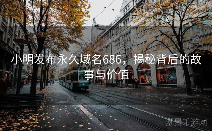 小明发布永久域名686，揭秘背后的故事与价值