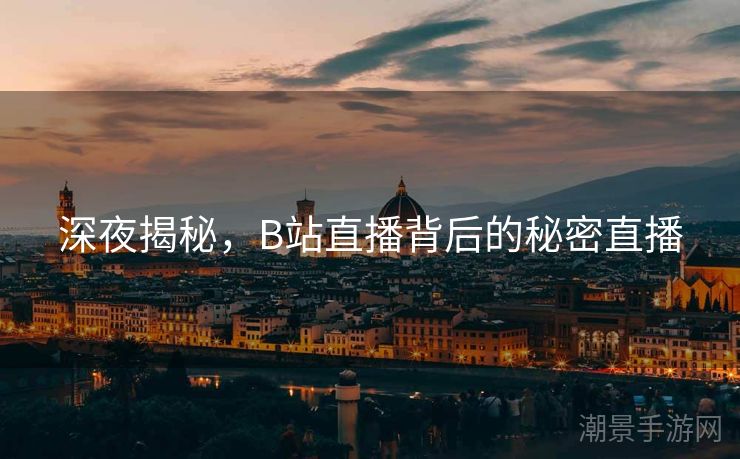 深夜揭秘，B站直播背后的秘密直播