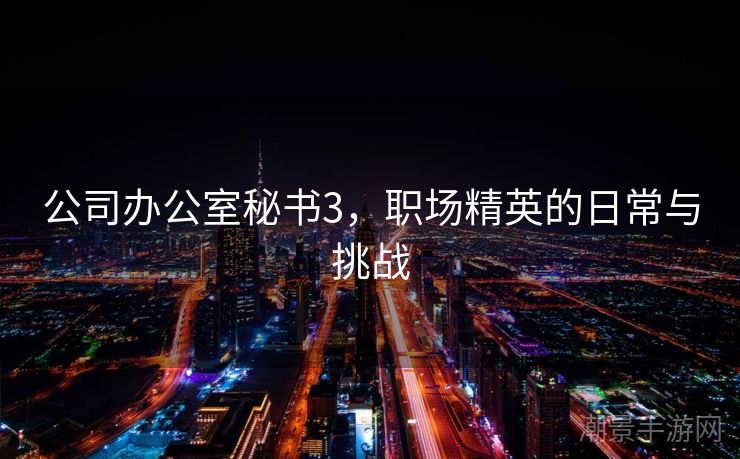公司办公室秘书3，职场精英的日常与挑战