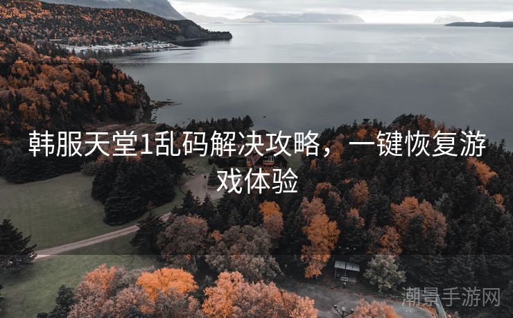 韩服天堂1乱码解决攻略，一键恢复游戏体验