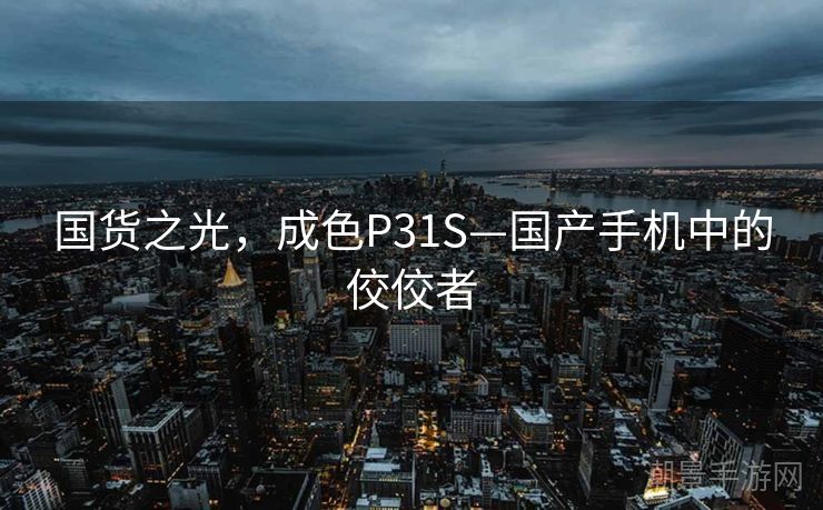 国货之光，成色P31S—国产手机中的佼佼者