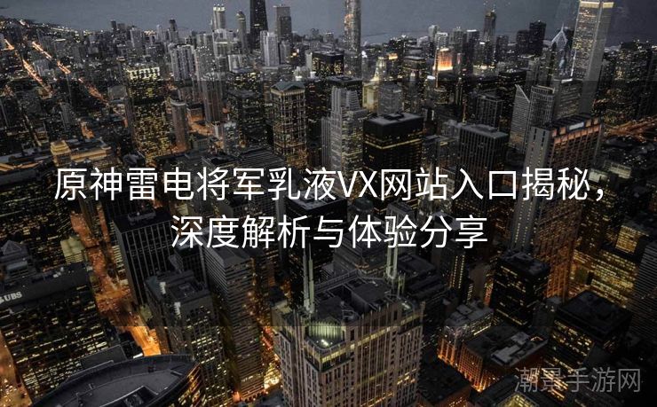 原神雷电将军乳液VX网站入口揭秘，深度解析与体验分享