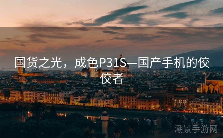 国货之光，成色P31S—国产手机的佼佼者