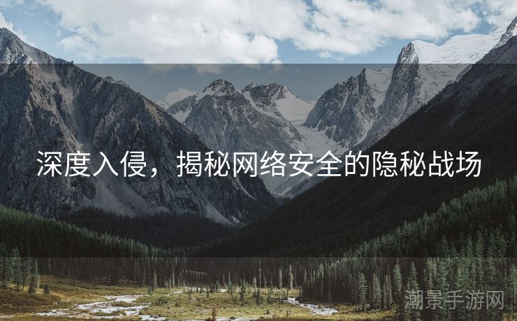 深度入侵，揭秘网络安全的隐秘战场