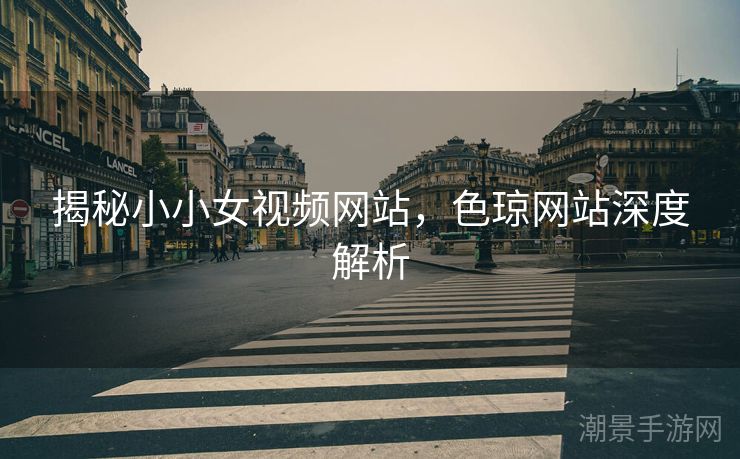 揭秘小小女视频网站，色琼网站深度解析