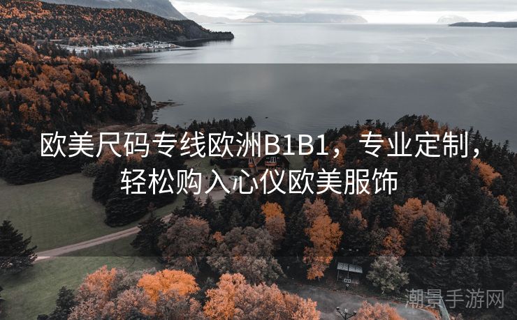 欧美尺码专线欧洲B1B1，专业定制，轻松购入心仪欧美服饰