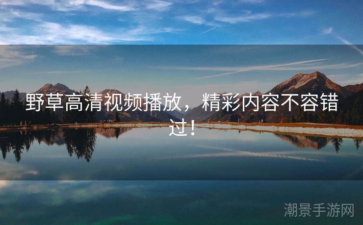 野草高清视频播放，精彩内容不容错过！