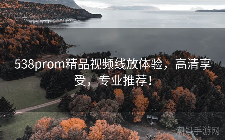 538prom精品视频线放体验，高清享受，专业推荐！