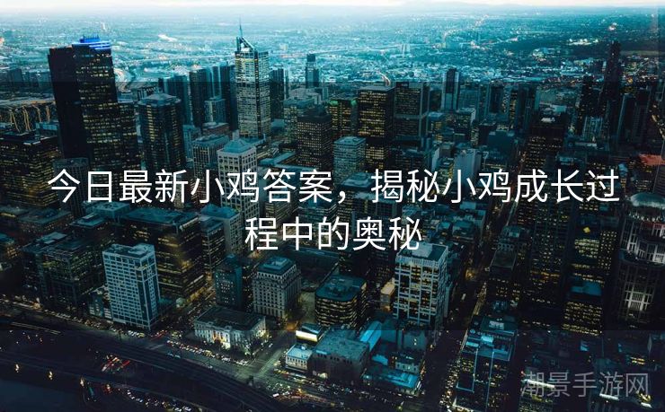 今日最新小鸡答案，揭秘小鸡成长过程中的奥秘