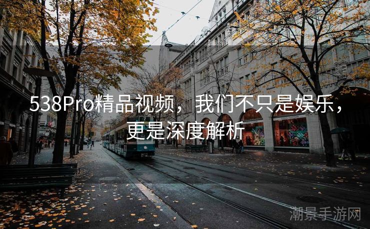 538Pro精品视频，我们不只是娱乐，更是深度解析