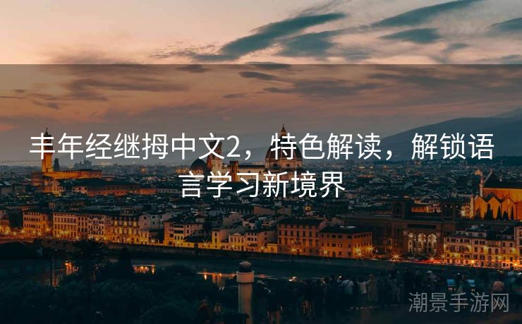 丰年经继拇中文2，特色解读，解锁语言学习新境界