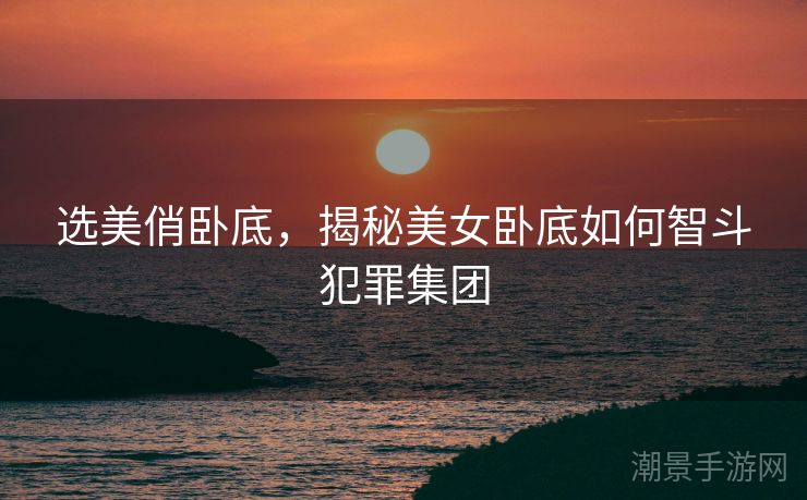 选美俏卧底，揭秘美女卧底如何智斗犯罪集团