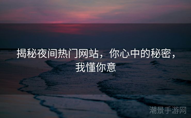 揭秘夜间热门网站，你心中的秘密，我懂你意