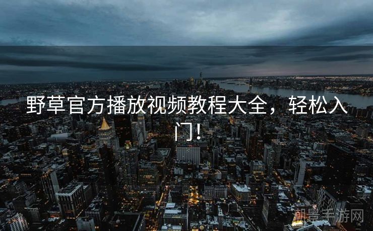 野草官方播放视频教程大全，轻松入门！