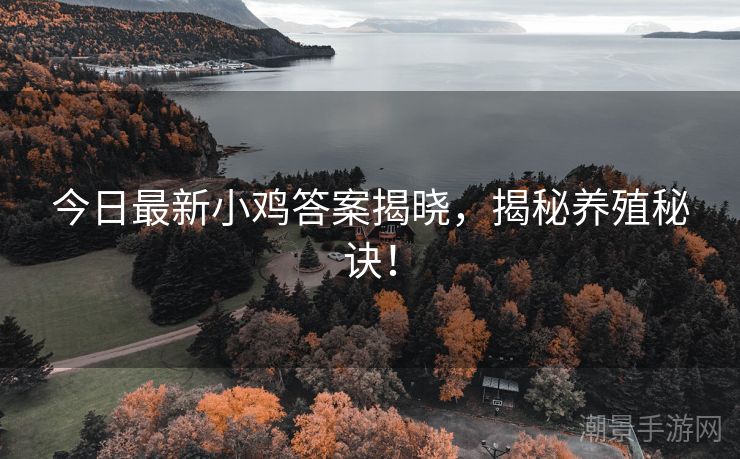 今日最新小鸡答案揭晓，揭秘养殖秘诀！