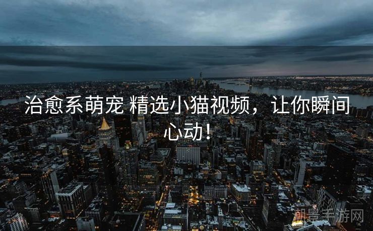 治愈系萌宠 精选小猫视频，让你瞬间心动！