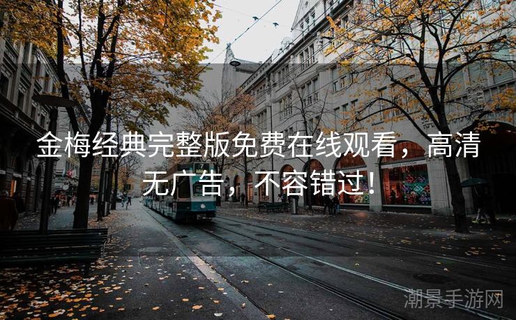 金梅经典完整版免费在线观看，高清无广告，不容错过！