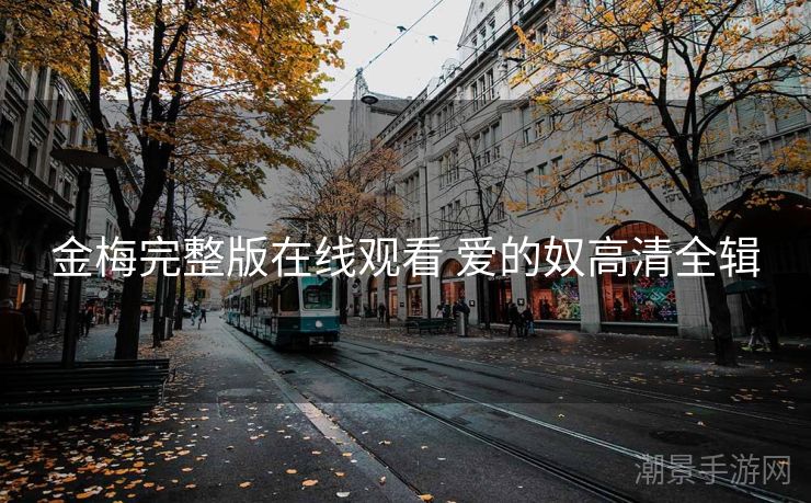 金梅完整版在线观看 爱的奴高清全辑