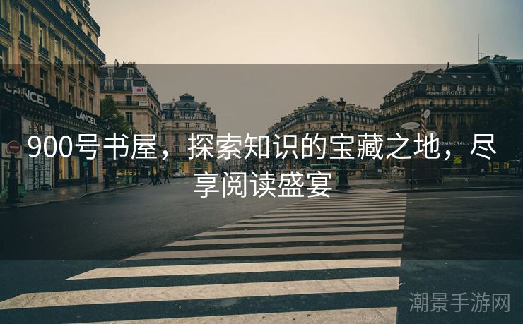 900号书屋，探索知识的宝藏之地，尽享阅读盛宴
