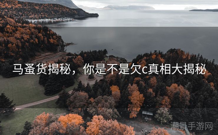 马蚤货揭秘，你是不是欠c真相大揭秘