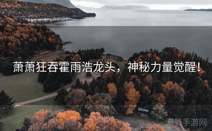 萧萧狂吞霍雨浩龙头，神秘力量觉醒！