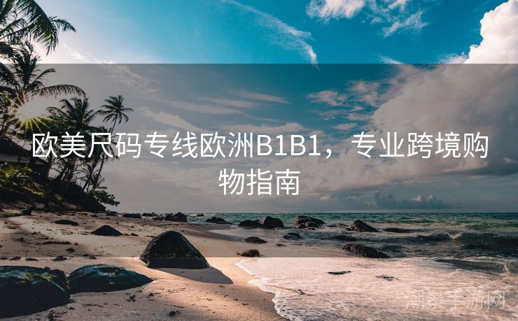 欧美尺码专线欧洲B1B1，专业跨境购物指南