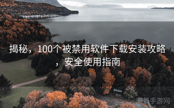 揭秘，100个被禁用软件下载安装攻略，安全使用指南
