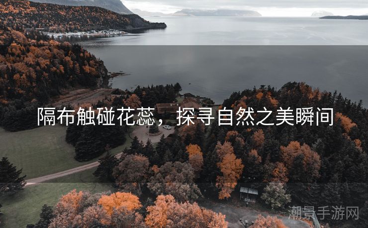 隔布触碰花蕊，探寻自然之美瞬间