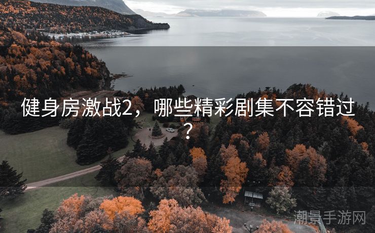 健身房激战2，哪些精彩剧集不容错过？