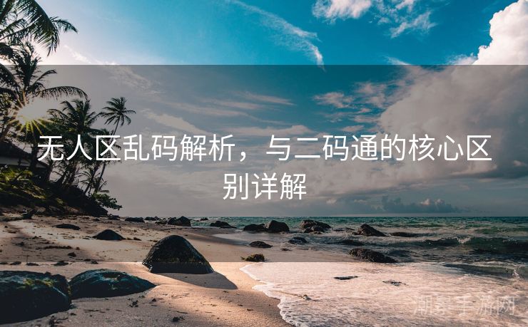 无人区乱码解析，与二码通的核心区别详解