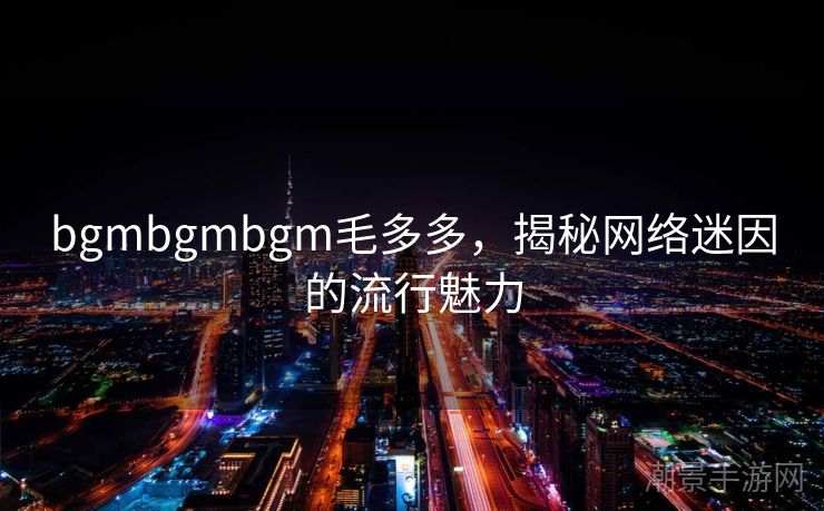 bgmbgmbgm毛多多，揭秘网络迷因的流行魅力
