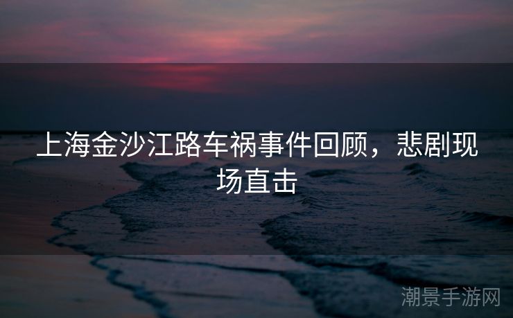 上海金沙江路车祸事件回顾，悲剧现场直击