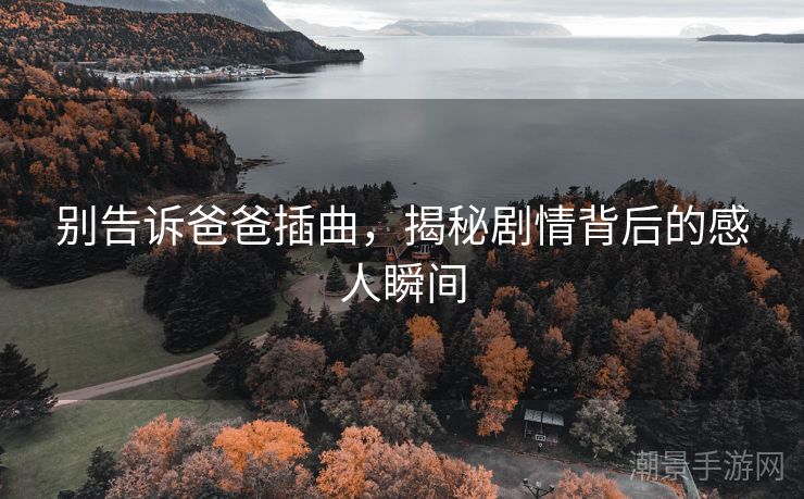 别告诉爸爸插曲，揭秘剧情背后的感人瞬间