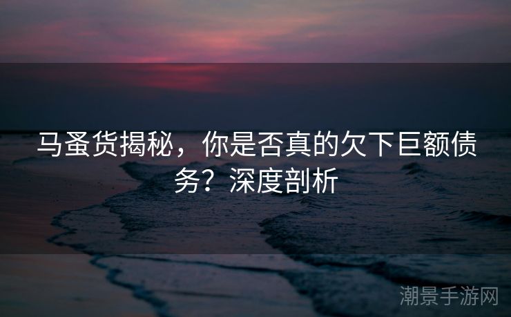 马蚤货揭秘，你是否真的欠下巨额债务？深度剖析